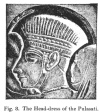 Fig. 8. The Head-dress of the Pulasati.