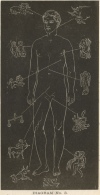 DIAGRAM No. 3.<br> THE SOLAR MAN.