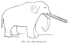 FIG. 13.—THE MASTODON.