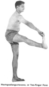 Hastapadangustasana, or Toe-Finger Pose