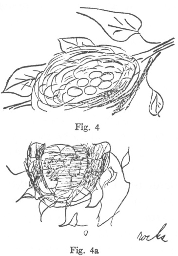 Fig. 4, Fig. 4a