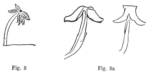 Fig. 8, Fig. 8a