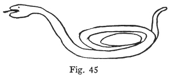 Fig. 45