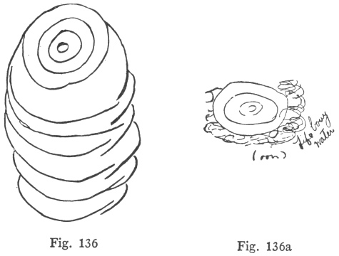 Fig. 136, Fig. 136a