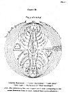 No. 11<br> CHART--B.<br> Cabalistic (Rosicrucian.) ''Natural---Supernatural.'' ''Light--Dark.''<br> ''Dark--Light:'' (The Mysteries of ''Their Interchange.'')