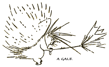 Illustration Illustration