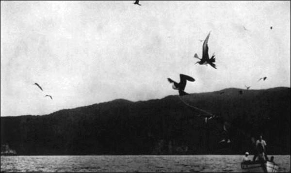 Illustration Illustration