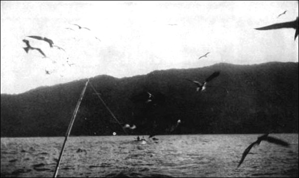 Illustration Illustration