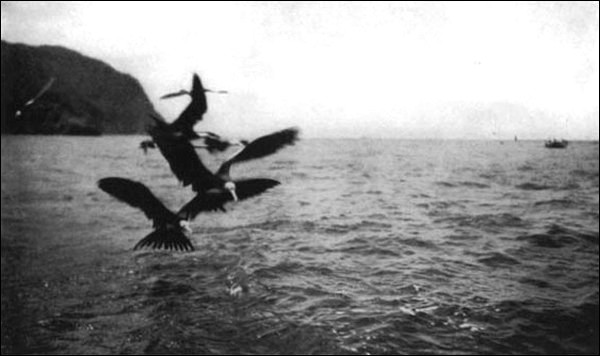 Illustration Illustration