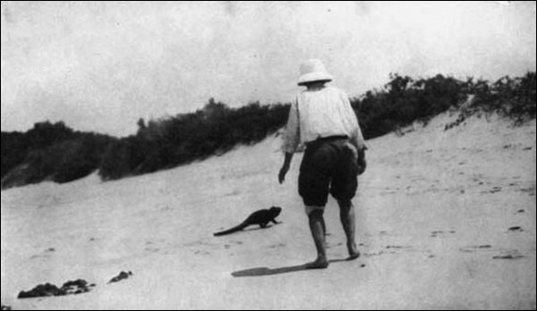 Illustration Illustration