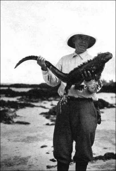 Illustration Illustration