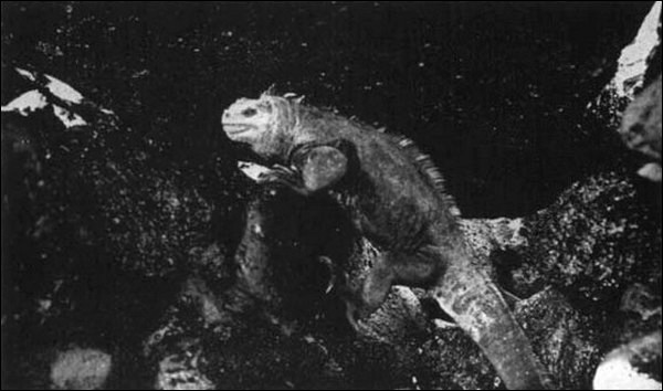 Illustration Illustration