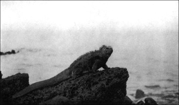 Illustration Illustration