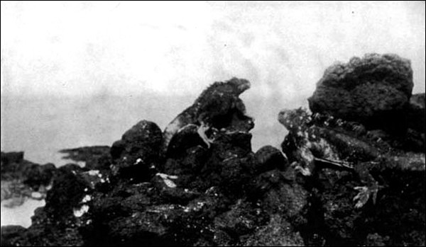 Illustration Illustration