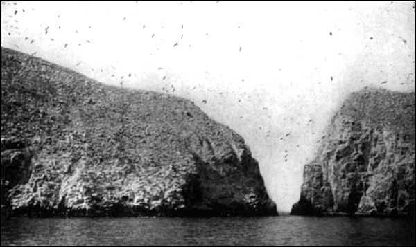 Illustration Illustration