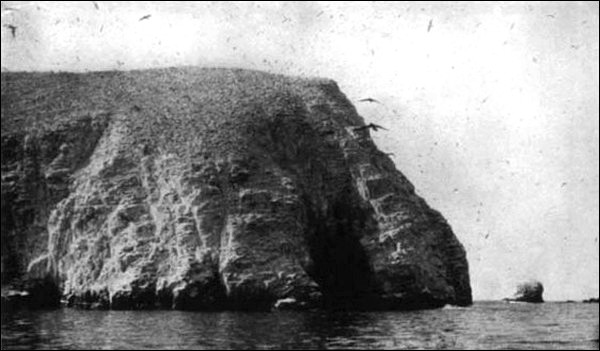 Illustration Illustration