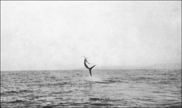 Illustration Illustration