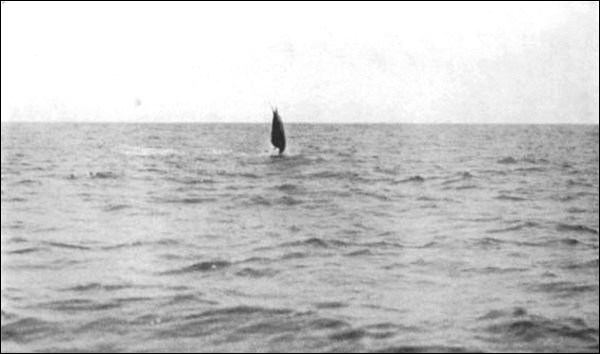 Illustration Illustration