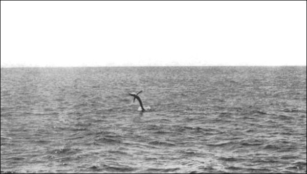 Illustration Illustration