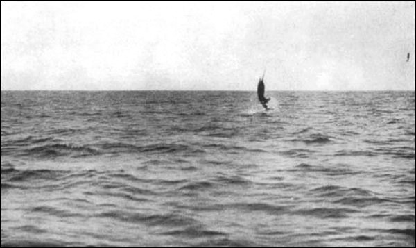 Illustration Illustration