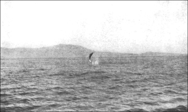 Illustration Illustration