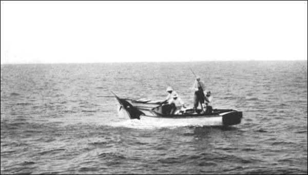 Illustration Illustration