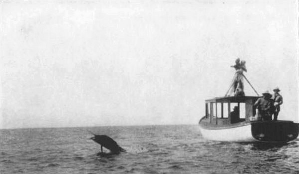 Illustration Illustration