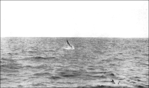 Illustration Illustration