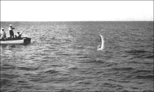 Illustration Illustration