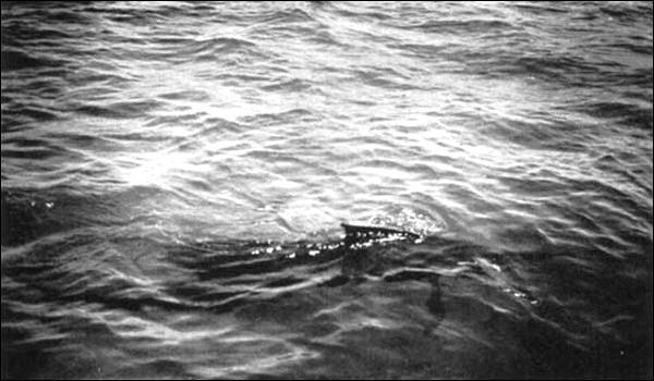 Illustration Illustration