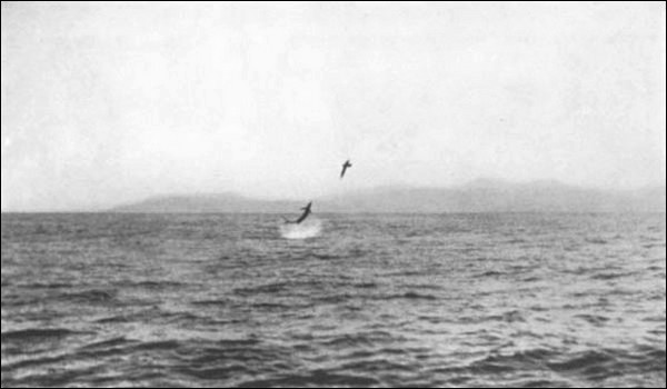 Illustration Illustration