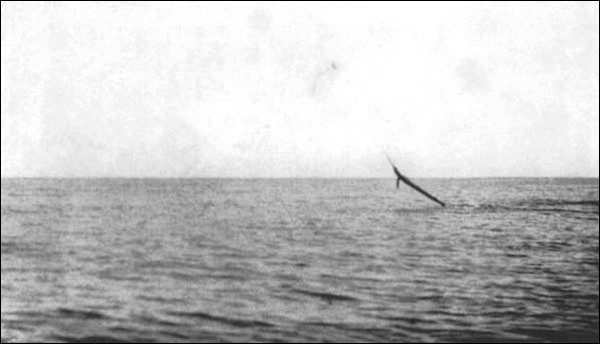 Illustration Illustration