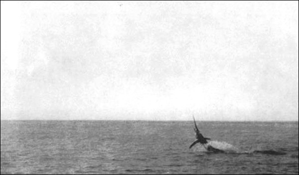 Illustration Illustration