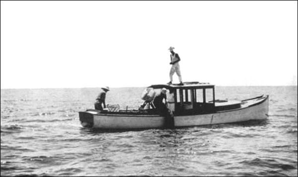 Illustration Illustration