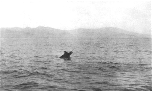 Illustration Illustration