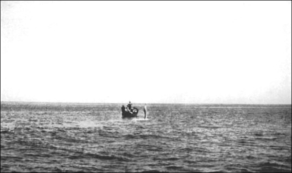 Illustration Illustration