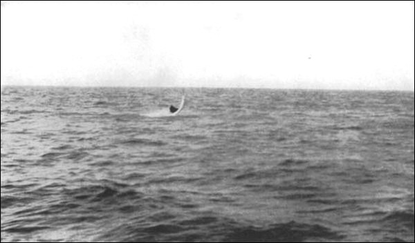 Illustration Illustration