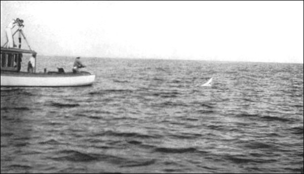 Illustration Illustration