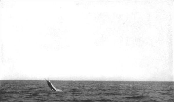 Illustration Illustration