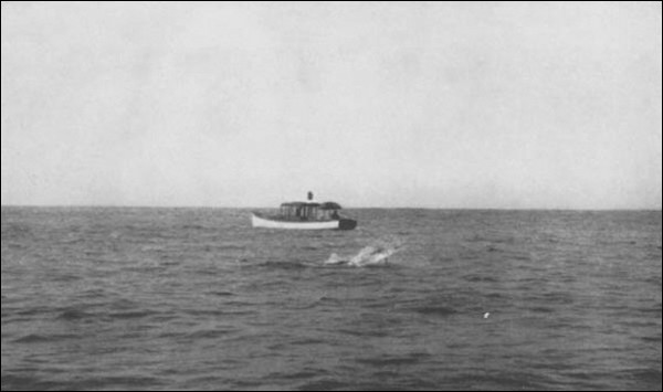 Illustration Illustration