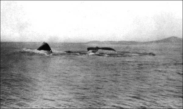 Illustration Illustration