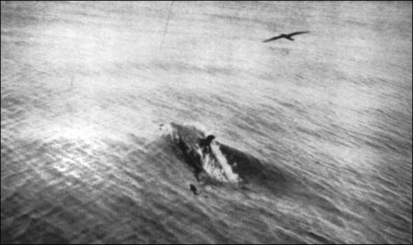 Illustration Illustration