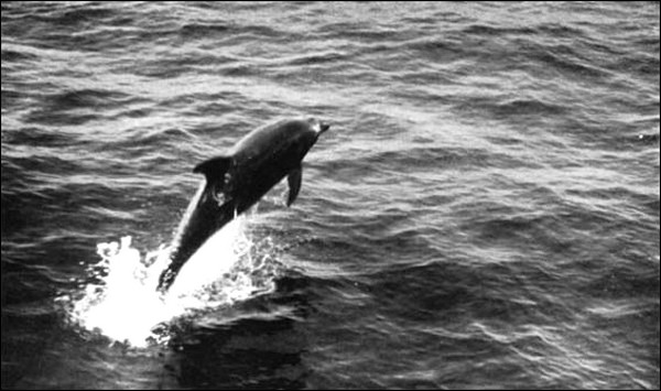 Illustration Illustration