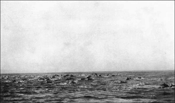 Illustration Illustration