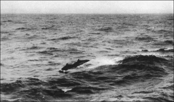 Illustration Illustration