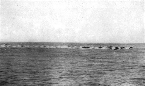 Illustration Illustration