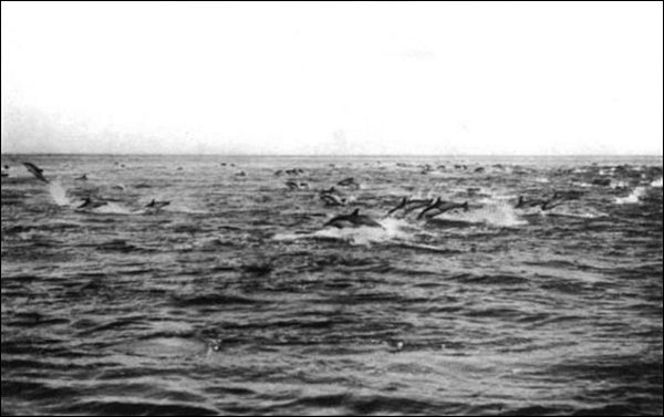 Illustration Illustration