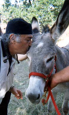 wise men love donkeys