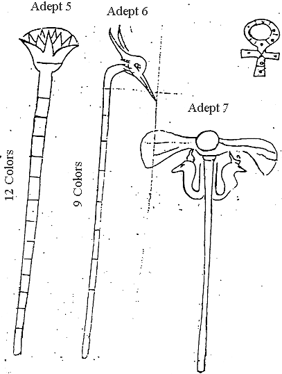 translated Folio 49