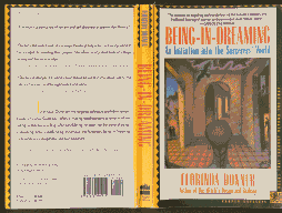 Being in Dreaming:
Book Cover